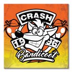 Canvas z gry Crash Bandicoot