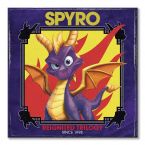 Canvas w stylu retro z gry Spyro