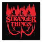 Canvas z logiem Flip z serialu Stranger Things