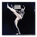 Canvas z albumu Davida Bowie'go The Man Who Sold The World