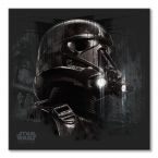 Canvas Rogue One Death Trooper Black z filmu Star Wars
