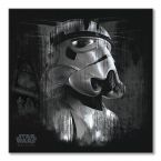 Canvas Rogue One Stormtrooper Black z filmu Star Wars