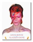 Canvas z Davidem Bowie z płyty Aladdin Sane