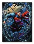 Canvas Superman Unchained