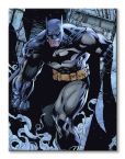Canvas Batman Prowl 60x80