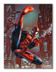 Canvas Spider-Man Web Sling 60x80 cm