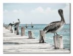 Canvas przedstawiający pelikany na drewnianym molo