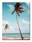 Canvas z Palmą na plaży
