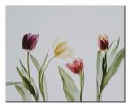 Kolorowe tulipany na canvasie