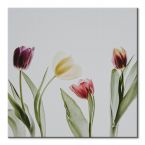 Cztery barwne tulipany na kwadratowym obrazie