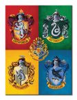 Obraz na płótnie Harry Potter Colourful Crests