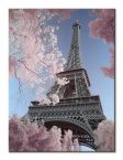 Obraz z wieżą Eiffel Tower Infrared