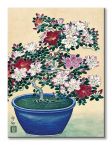 Canvas z kwiatami w doniczce Blooming Azalea in Blue Pot
