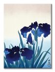 Obraz na płótnie z Irysami Iris Flowers