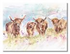 Obraz Szkockie krowy Highland Herd