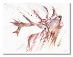 Obrazek z malunkiem jelenia Roar