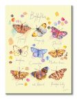 Canvas z motylkami Butterflies