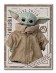 Baby Yoda na canvasie Star Wars: The Mandalorian The Child