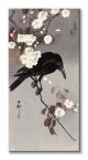 Canvas Crow on a Cherry Branch