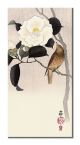 Canvas z ptakiem na gałęzi Songbird and Flowering Camellia