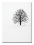 Obraz Samotne Drzewo w zimie