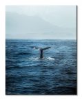 Obraz płócienny Ogon Wieloryba