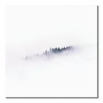 Płócienny obraz Drzewa we mgle