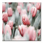 Kwadratowy obraz Różowe tulipany
