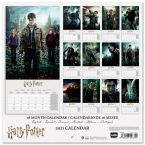 Tył kalendarza Harry Potter 2021