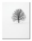 Zimowy obraz Samotne Drzewo