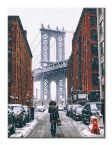 Zimowy Brooklyn na płóciennym obrazie