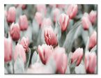 Płócienny obraz z różowymi tulipanami