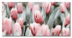 Canvas z różowymi tulipanami