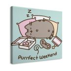 Canvas Pusheen (Purrfect Weekend) o wymiarach 40x40 cm