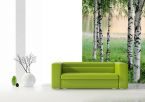 aranżacja fototapety z brzozowym lasem w białym salonie z zieloną sofą