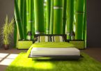 Zielony las bambusowy na fototapecie papierowej