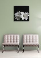 aranżacja obrazu na płótnie z białymi liliami na czarnym tle w pokoju z miętowymi ścianami nad dwoma białymi fotelami