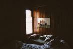 Canvas Johnny, Freckles & Halfpint wiszący w pokoju nad łóżkiem na ścianie z drewna
