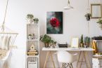 Obraz na płótnie International Rose Test Garden przedstawiający różę wiszący na białej ścianie nad biurkiem
