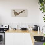 Obraz na płótnie Mr Pheasant na ścianie w kuchni nad szafkami