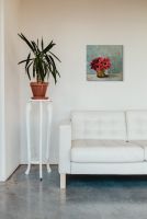 Obraz na płótnie Red Anemones na ścianie w salonie nad kanapą obok kwiatka