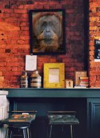 Plakat z Orangutanem powieszony na ścianie z cegły nad stołem w kawiarni