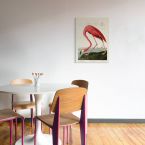 Obraz na płótnie American Flamingo powieszony w pokoju na białej ścianie