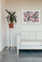Reprint Różowe tulipany w salonie nad kanapą