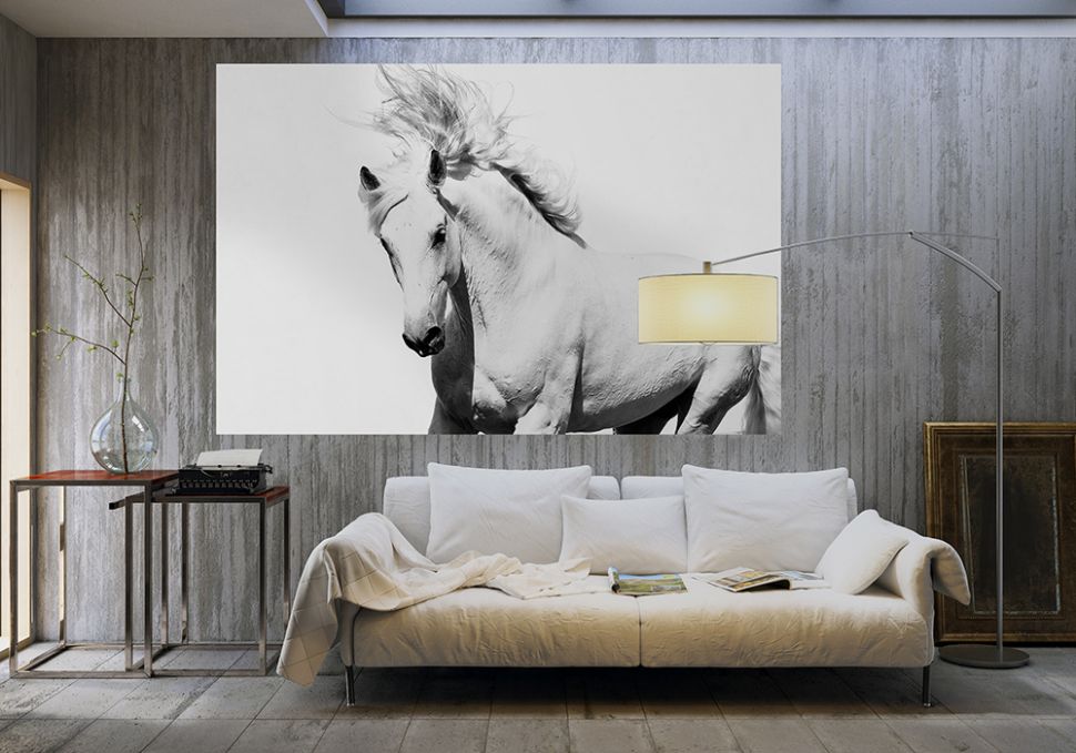 Aranżacja fototapety z białym koniem w fioletowym pomieszczeniu
