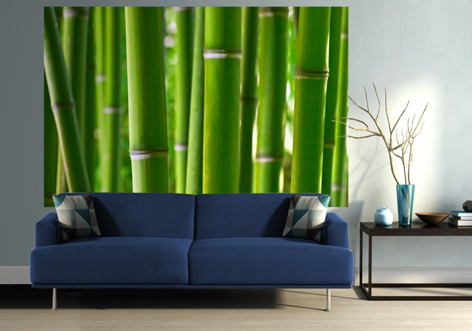 zielone bambusy na jednoelementowej fototapecie papierowej