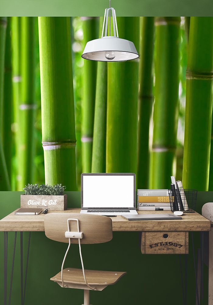 Aranżacja małej fototapety z zielonym lasem bambusowym na ścianie w pokoju dziennym