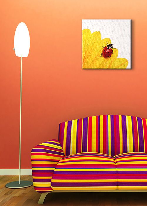 aranżacja obrazu na płótnie z biedronką i żółtym kwiatem w pokoju z pomarańczową ścianą nad pasiastą sofą
