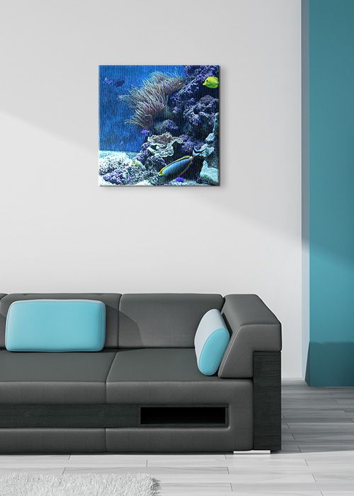 Canvas z arybkami morskimi dekoracja do salonu