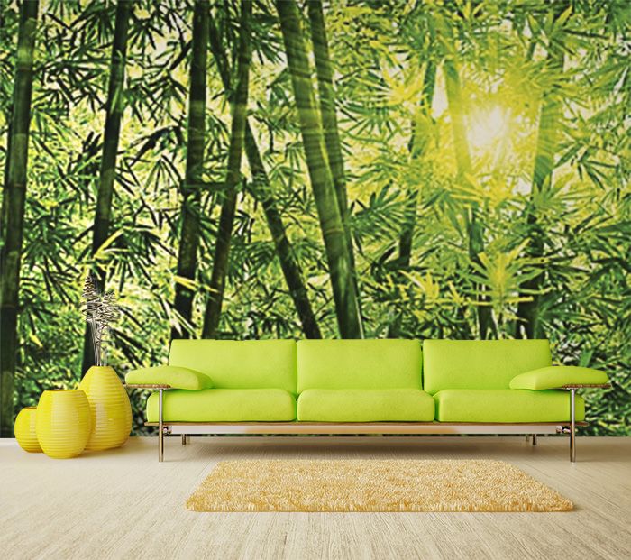 Rozświetlony las bambusowy na papierowej fototapecie